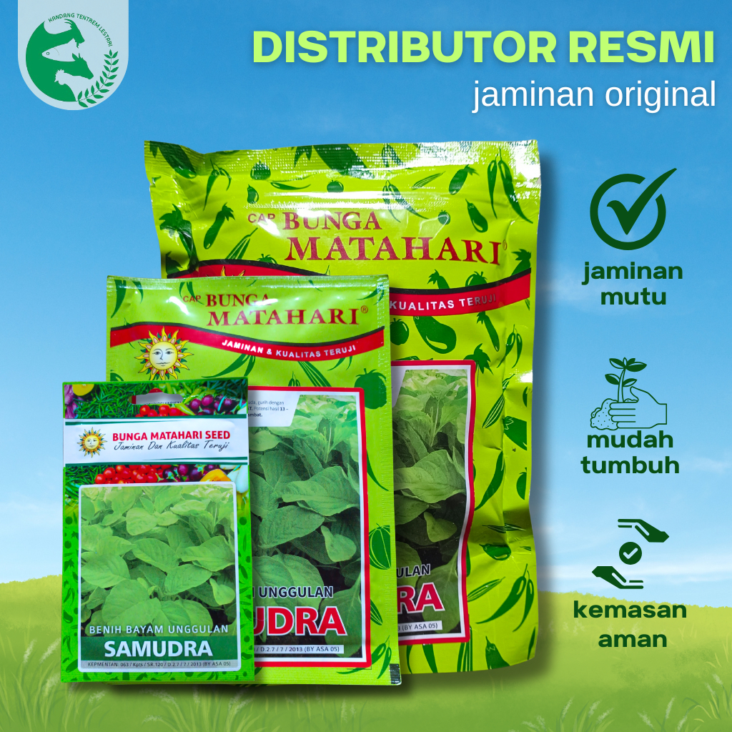Benih Bayam Hijau SAMUDRA 500 gr cap Bunga matahari Bayam Mangkok Cabut Potong Hidroponik Kebun