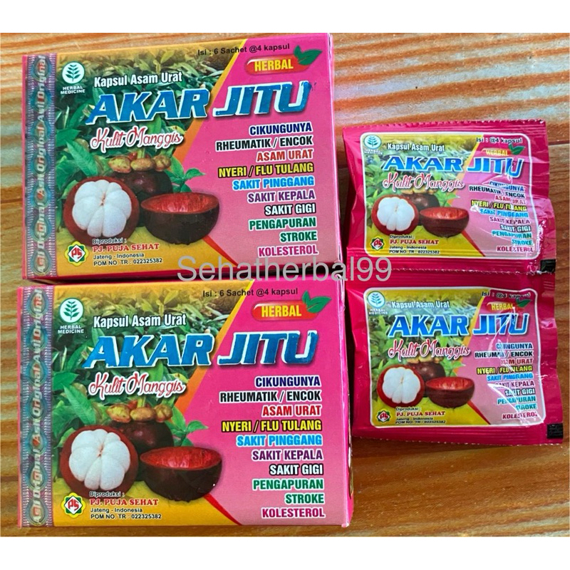 

Akar Jitu Kulit Manggis