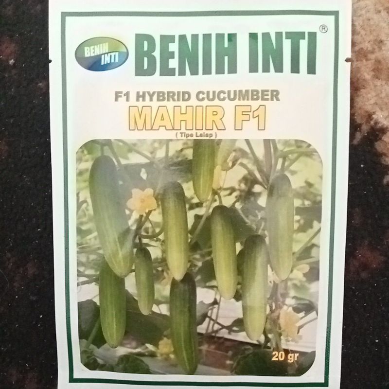 Benih INTI Mentimun Tipe Lalap MAHIR F1