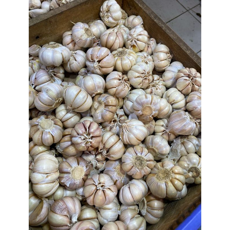 

Bawang putih ½kg