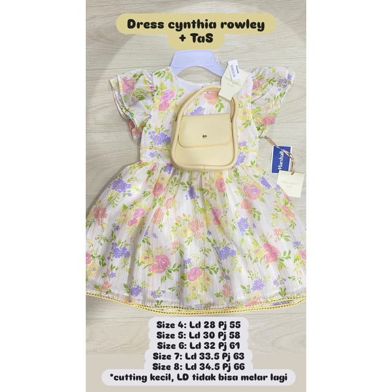 Cynthia Rowley Dress + Tas