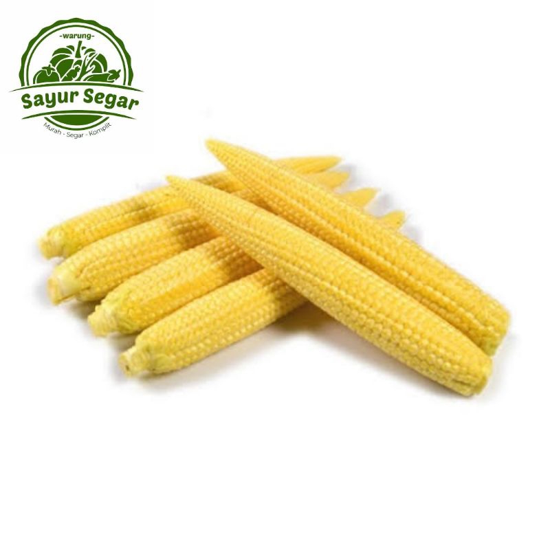 

Jagung Baby / Jagung Muda / Jagung Putren - Perbungkus