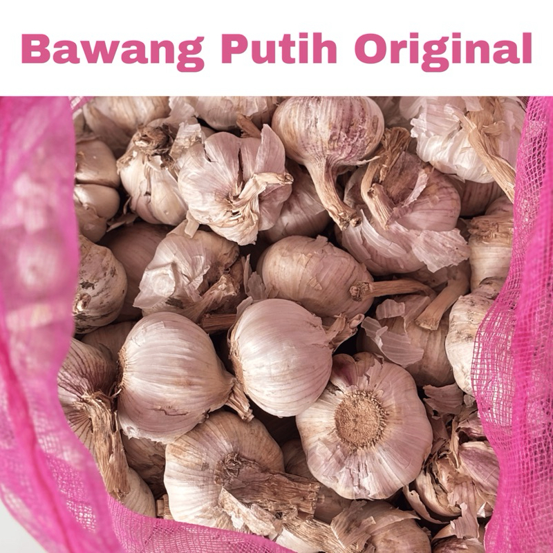 

Bawang Putih Fresh 500Gram & 1Kg