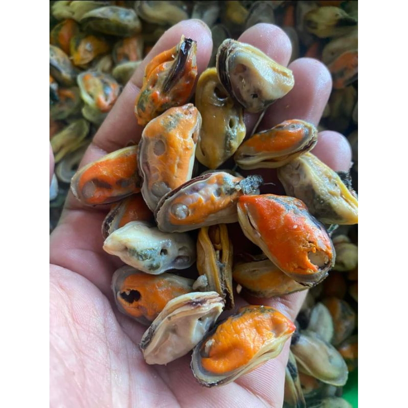 

Kerang Hijau Kupas RJ Fish