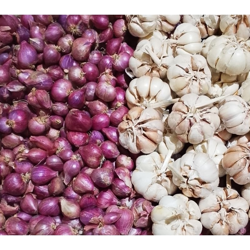 

PAKET HEMAT BAMER & BAPUT (bawang merah & bawang putih)