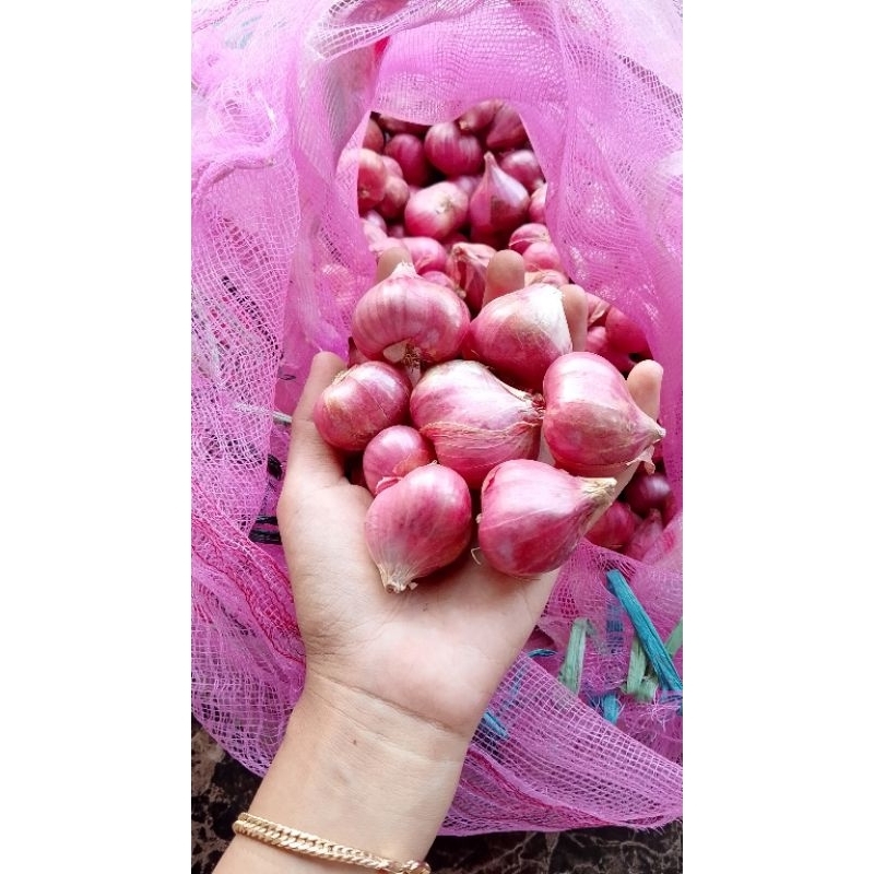 

(BISA COD) Bawang Merah super ukuran besar kualitas super