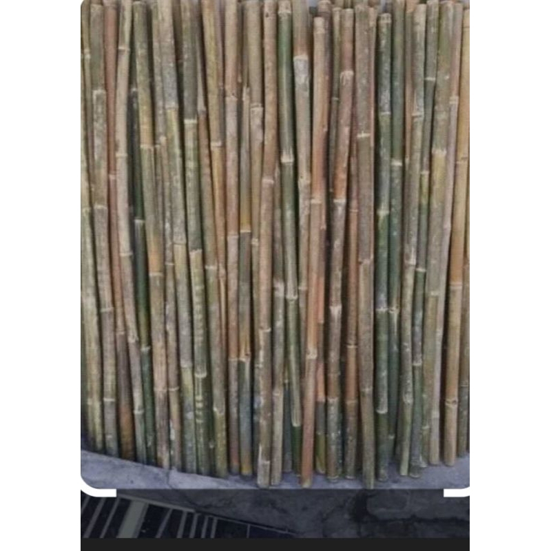 Tongkat Bambu/Tongkat Pramuka panjang 160  cm