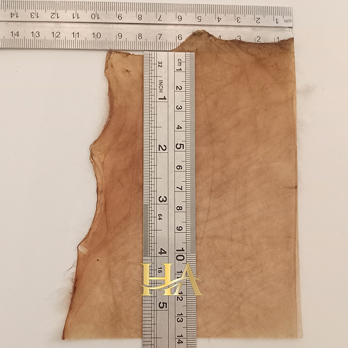 Handalam mencek asli kidang ukuran 9cm x 14cm