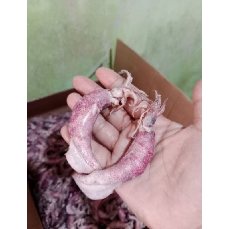 

ikan asin baby cumi rebus 1 toples berat 400 gram