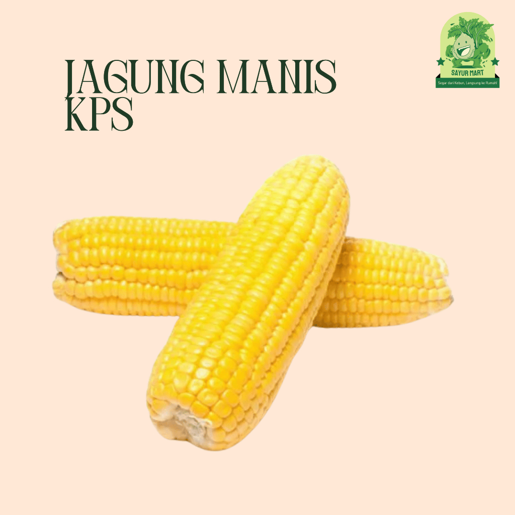 

Jagung Manis KPS 1 Kilogram