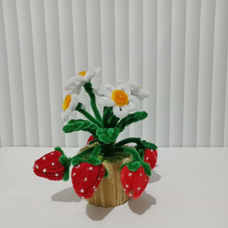 

Strawberry new produk