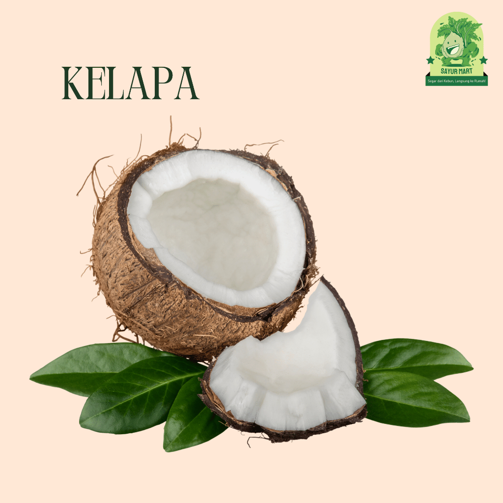

Kelapa Per Biji
