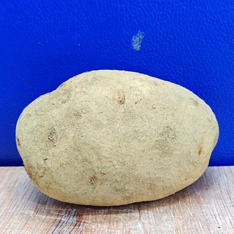 

KENTANG sayuran sayur bumbu dapur 1kg 1 kg kilo 100 gram 250 gr kiloan