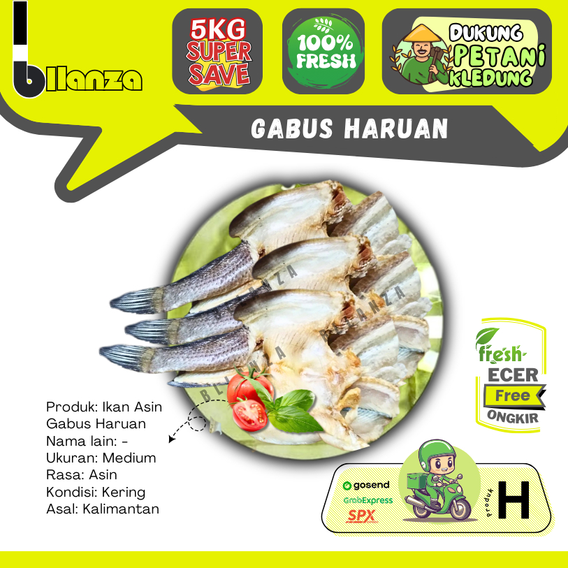 

Bllanza | Ikan Asin Gabus SUPER Asli Kalimantan — Sayur Gunung ECER (H)