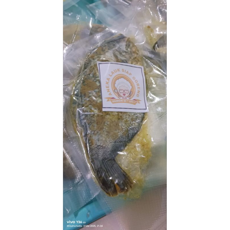 

ikan gurami marinasi siap goreng