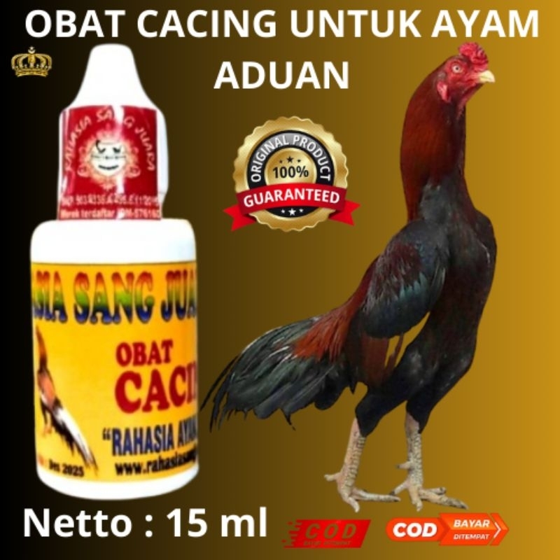 OBAT CACING UNTUK AYAM ADUAN MUJARAB