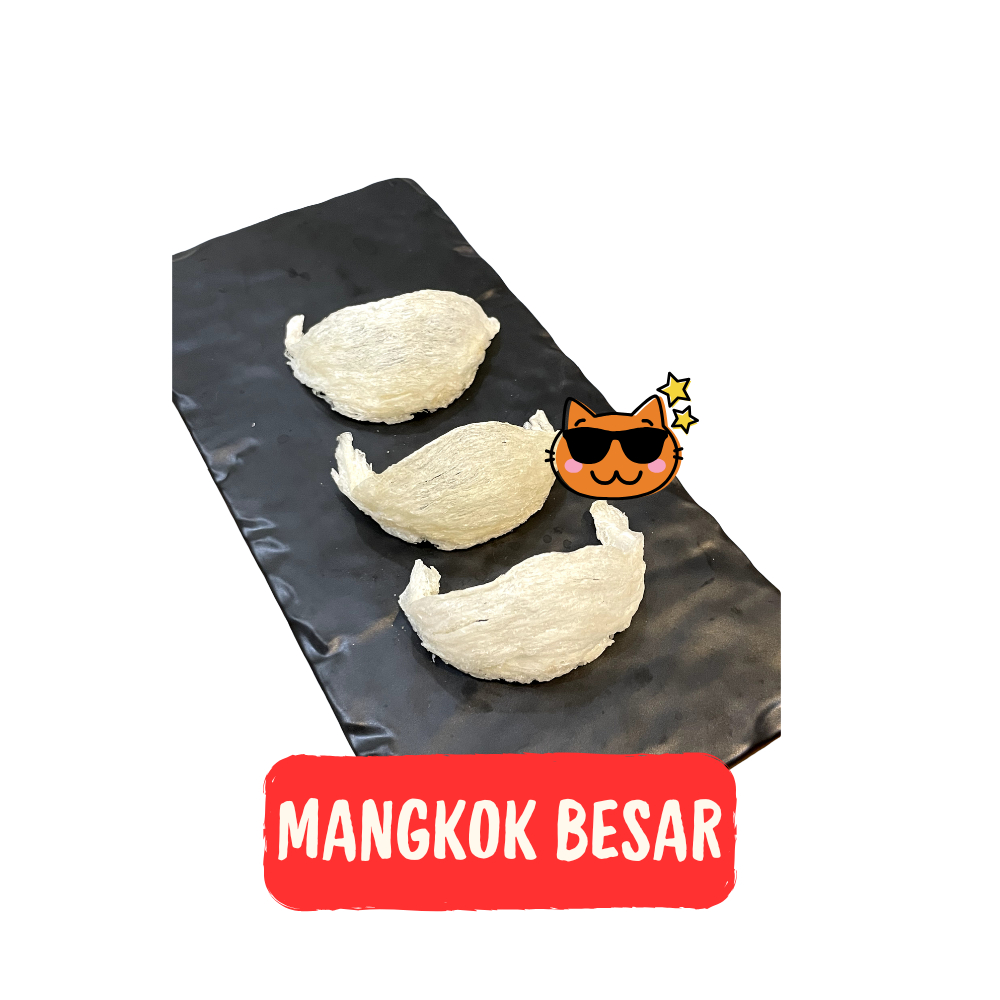 

Sarang Burung Walet / Bird Nest / Yan Wo / Yen Wo / 燕窝 - Mangkok Besar