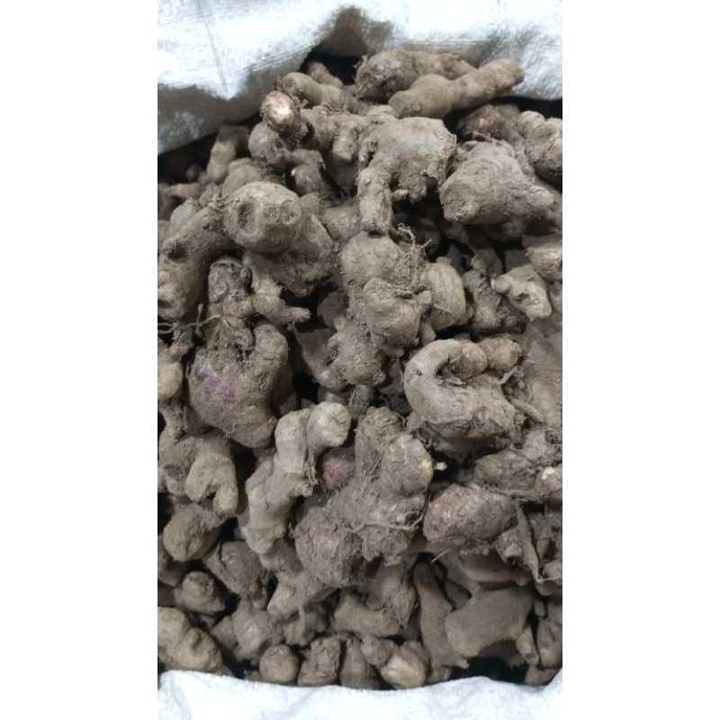 

jahe metah berkulitas 1kg