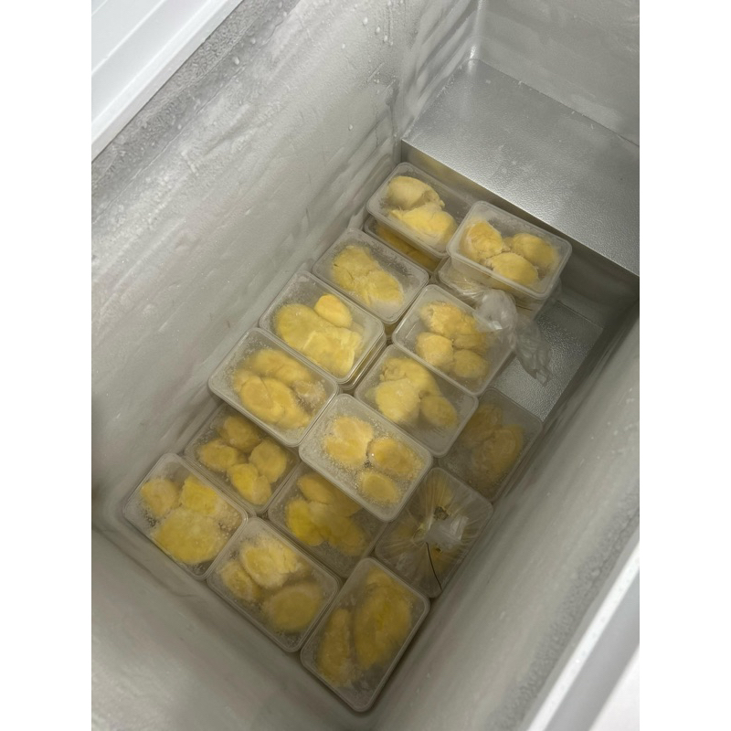 

Original Montong Palu 100% Asli