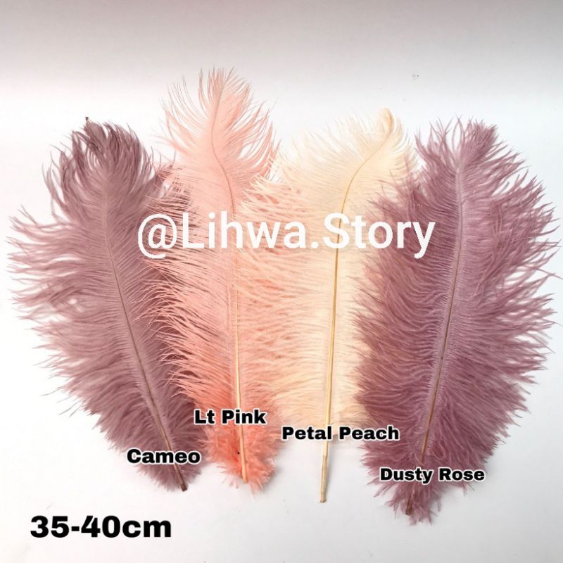 PER 1 HELAI - SIZE 35CM - 40CM / BULU DEKORASI BIJIAN / BULU OSTRICH BIJIAN / BULU HIASAN