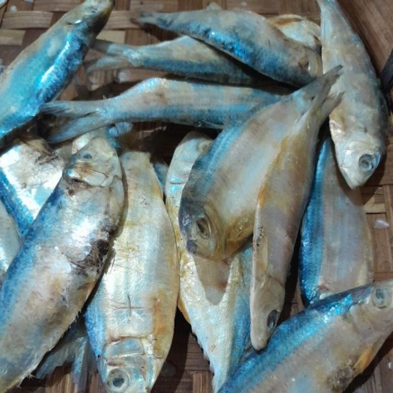 

ikan asin sesek 250gr