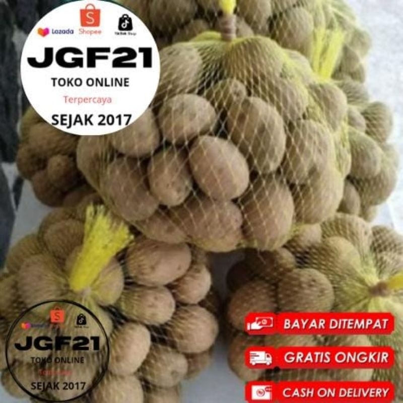 

Kirim Instan Terlaris No.1- 500Gr Original Kentang dieng Medium Sedang Mini Fresh Konvensional Sayuran Box