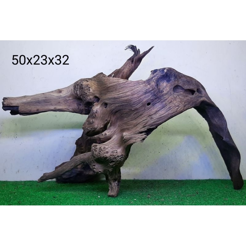 Kayu Santigi Laut 50cm Kayu Tenggelam Aquascape Aquarium Taman 50x23x32 C1