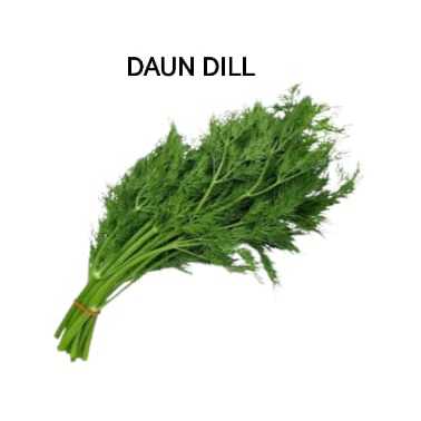 

Daun Dill Segar - Fresh Organik