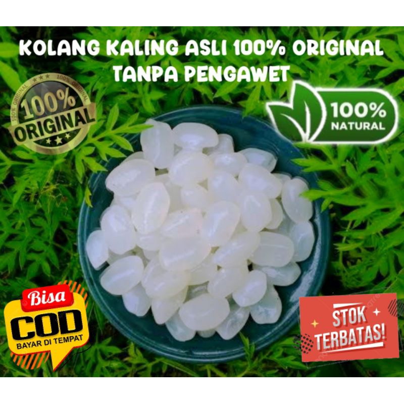 

Promo COD 1kg Kolang Kaling segar muda fresh