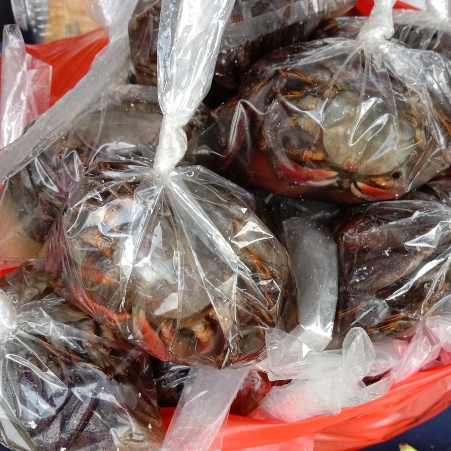 

Kepiting Kecil Asin Pontianak Kalimantan Yuyu Makhikoi Makikoi Kalimantan