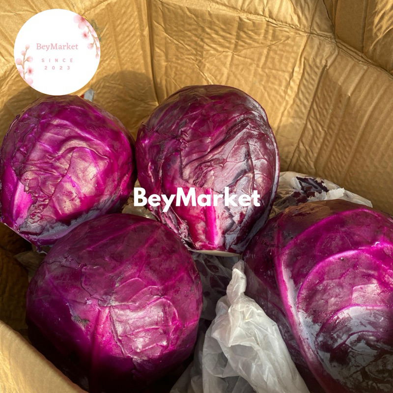 

Sayur Kol Merah Fresh 1kg | Red Cabbage