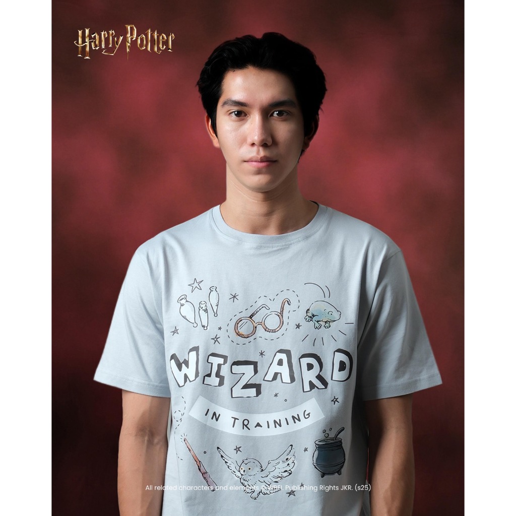 Thesilversky Wizard T-shirt Official Harry Potter | Cloud Blue Kaos Unisex