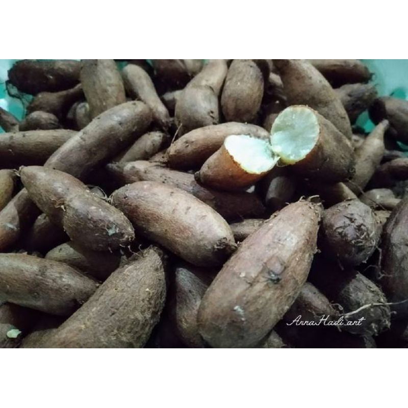 

KENTANG HITAM 1KG ANTI KANGKER, MAKANAN TRADISIONAL ORGANIK/KENTANG JEMBUT KENTANG BULU