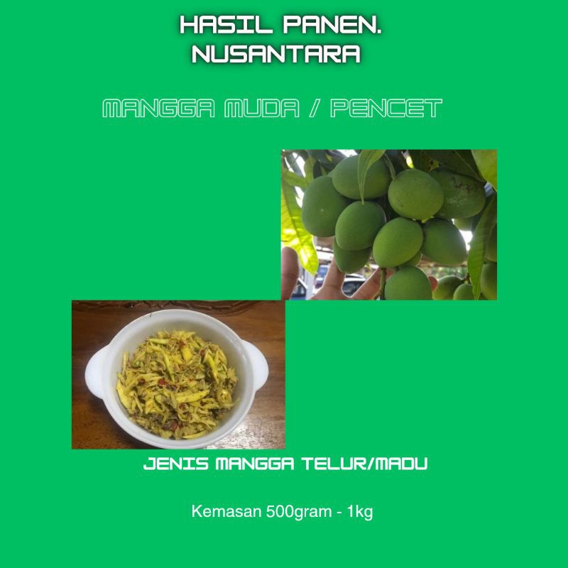 

Mangga Muda Madu/Telur cocok buat rujak Dan sambal