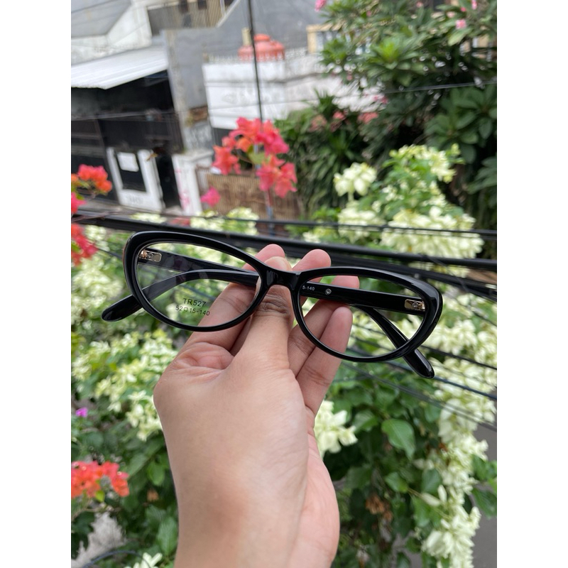 FRAME JACOB TR-527 (MIROR)