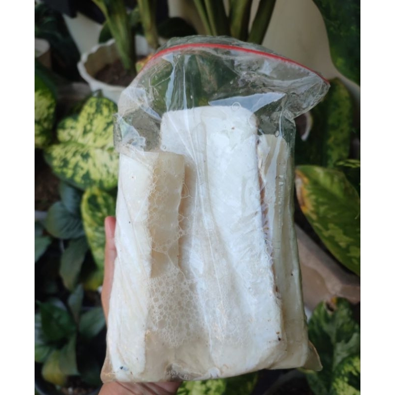 

Ikan Cucut Fillet 500gr