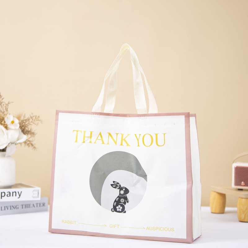 

Tas Spunbond Kantong Goodie Bag untuk hadiah perusahaan goodie bag eco friendlyTas Jinjing / Tas Belanja / Tas Spunbond / Tas Souvenir / Tas Jinjing Wanita / Tas Lipat / Tas Kado / Kantong Belanja