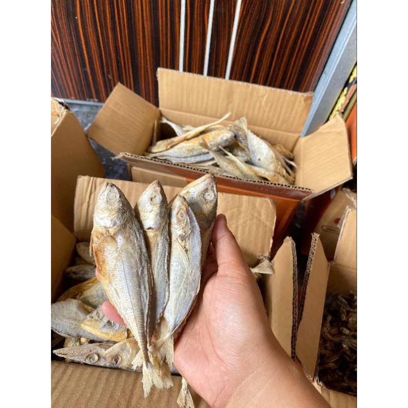 

Ikan Asin Peda Putih Khas Pesisir Pemalang