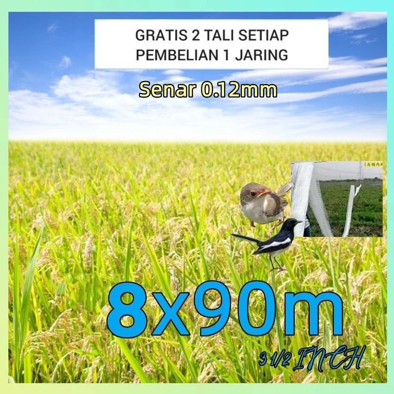 jaring burung, jaring padi, lubang 3,5 inci bonus 2 tali untuk burung besar seperti derkuku mandar