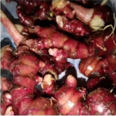

JAHE MERAH/1KG/JAHE LOKAL/JAHE SEGAR/JAHE ORGANIK/RIMPANG JAHE..MURAHHHHH