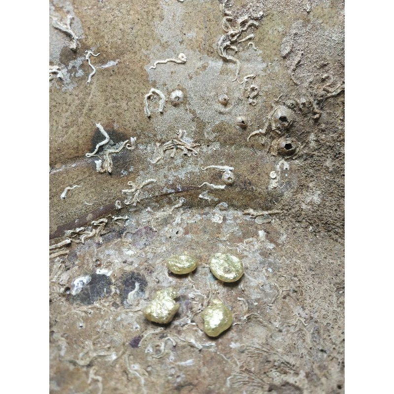 temuan logam emas dari sungai