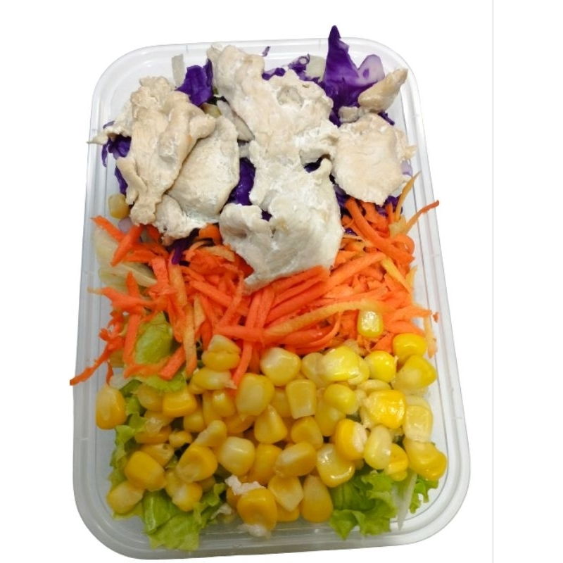 

Salad Sayur dan Protein