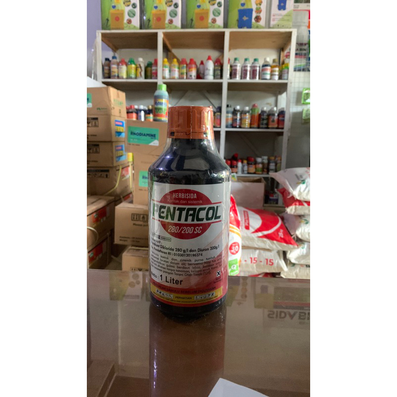 Pentaqol herbisida - Ampuh untuk rumput lulangan