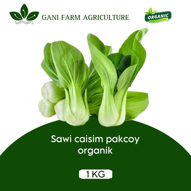 

Sawi Caisim/Sawi Sendok/Pakcoy 1 kg