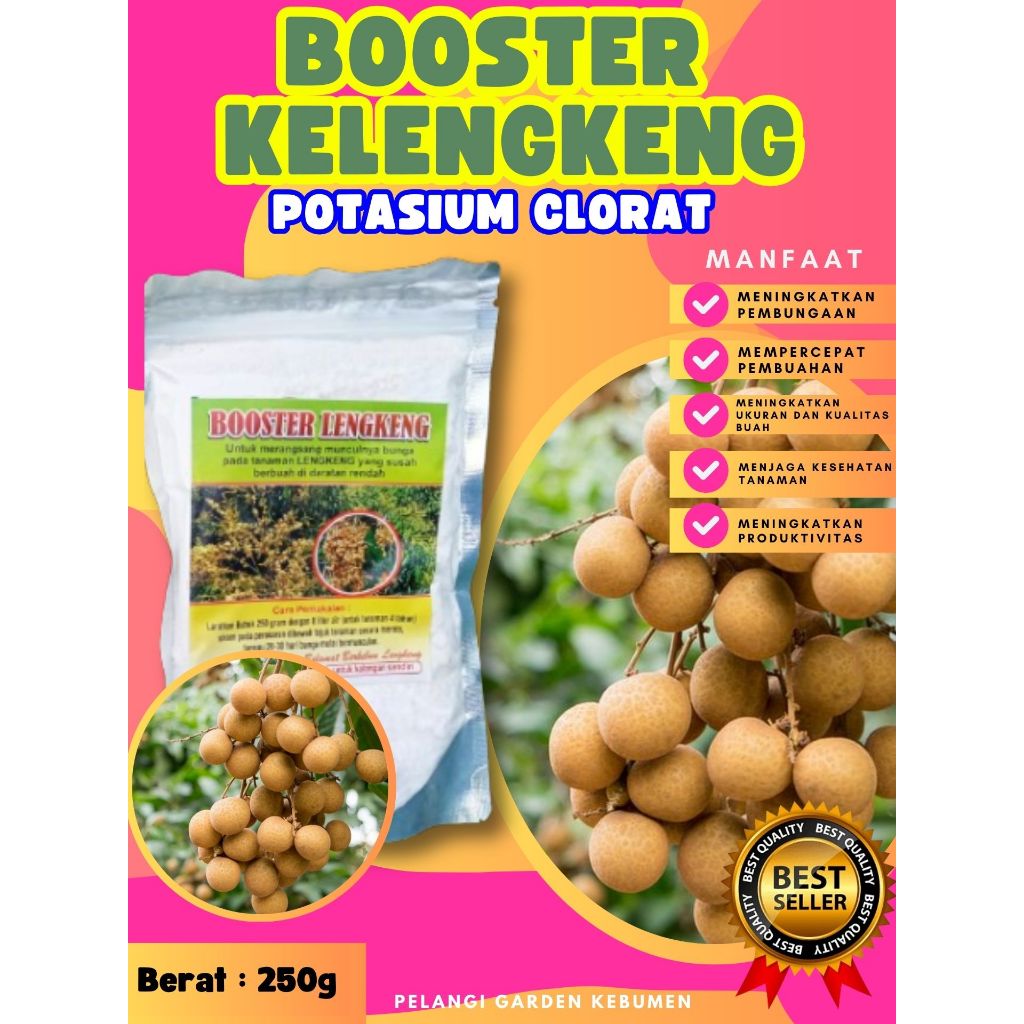 TERBAIK  Booster Kelengkeng Bubuk, Booster Kelengkeng Berbuah, Booster Kelengkeng Berbunga