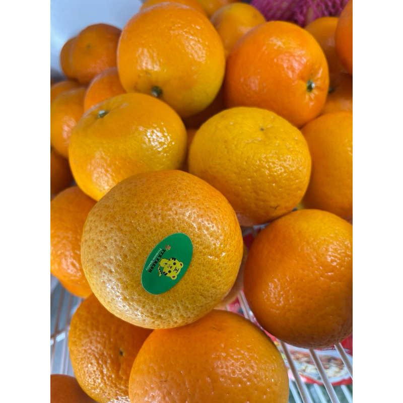 

BUAH JERUK HONEY MURCOT