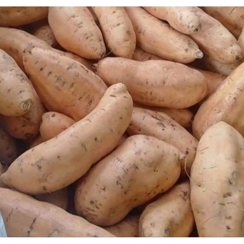 

ubi cilembu mentah/ubi manis 1 kg
