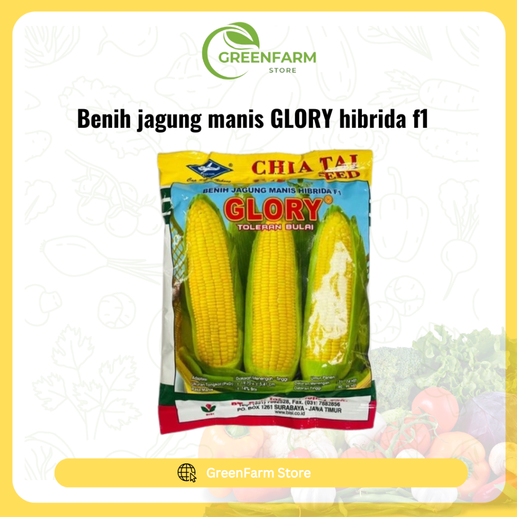 

Benih jagung manis GLORY hibrida f1 batang kokoh isi 250gr