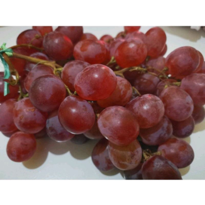 

Anggur merah