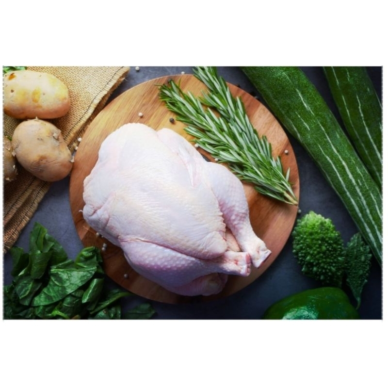 

Ayam Utuh Fresh Broiler / Ayam Karkas Fresh Broiler tanpa Kepala dan Ceker ukuran 500-600 gram